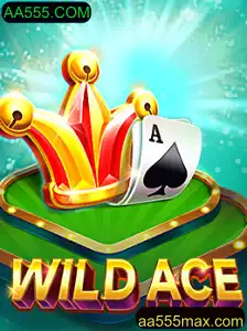 Descubra WildAce: O Novo Fenômeno de Entretenimento